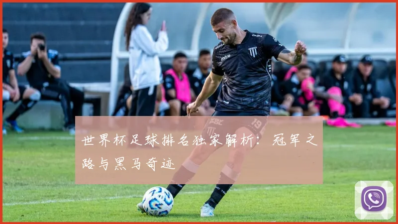 世界杯足球排名独家解析:冠军之路与黑马奇迹