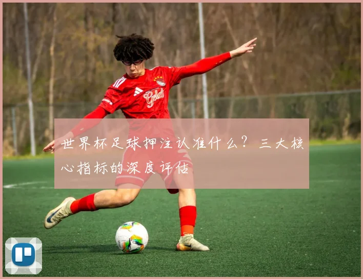 世界杯足球押注认准什么?三大核心指标的深度评估