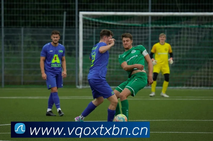 多媒体互动体验